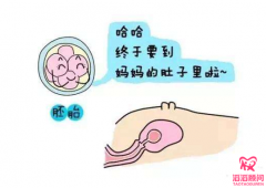 做试管婴儿容易着床吗？胚胎着床需要哪些条件？