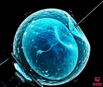 试管婴儿胚胎移植之后会出现哪些问题呢？