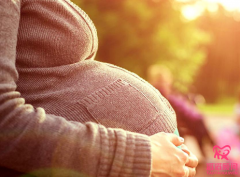 Z女士国内试管婴儿两次促排成功怀孕龙凤胎/案例