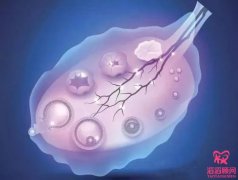AMH卵巢功能低必须做试管婴儿吗？