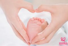 试管婴儿成功率有多少？要如何提高试管婴儿成功率呢？