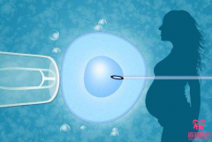 试管婴儿胚胎移植后出血情况分析，以及注意事项介绍