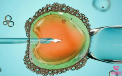 降调针：调节卵泡发育时间，助力三代试管好孕。